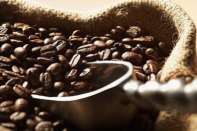 《守望先锋》国服开启测试招募报名 坐等今夏回归